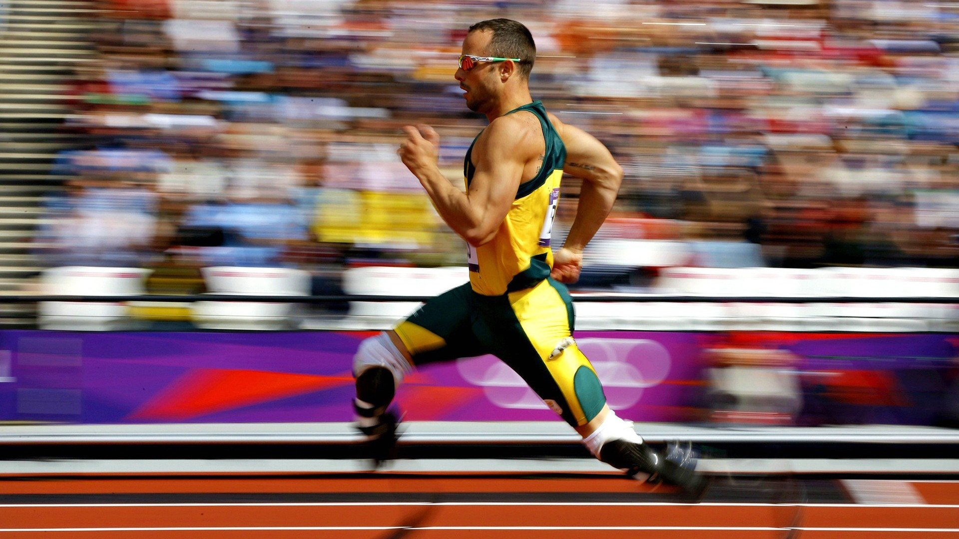 _猛龙突如其来,逆转战术卓越_,猛龙反击